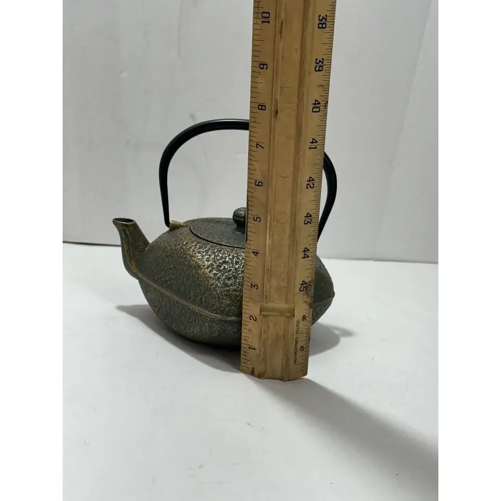 Japanese Rock Casting Iron Tea Pot‎ Kettle With Infuser Gorgeous Teapot Japan